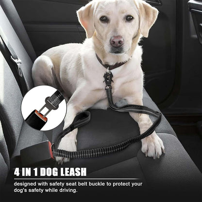 Rugged buckle clip lead